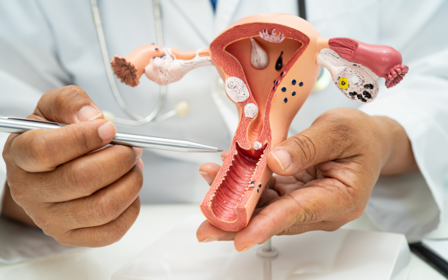 vùng kín ngứa và có dịch trắng