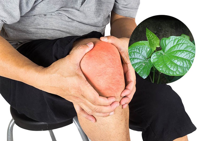 la-lot-chua-dau-nhuc-xuong-khop-2