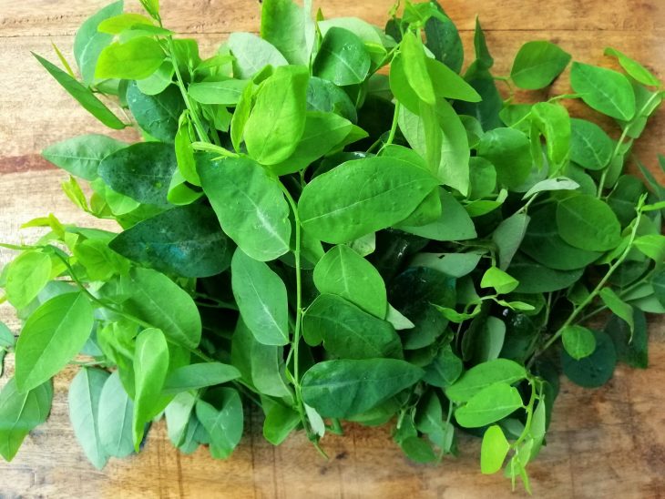 trị tưa lưỡi cho trẻ