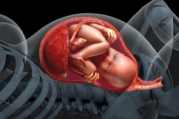 Lượng nước ối sẽ có xu hướng tăng lên khi thai kỳ phát triển