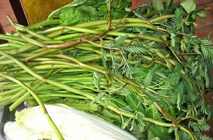 rau-giup-ha-huyet-ap