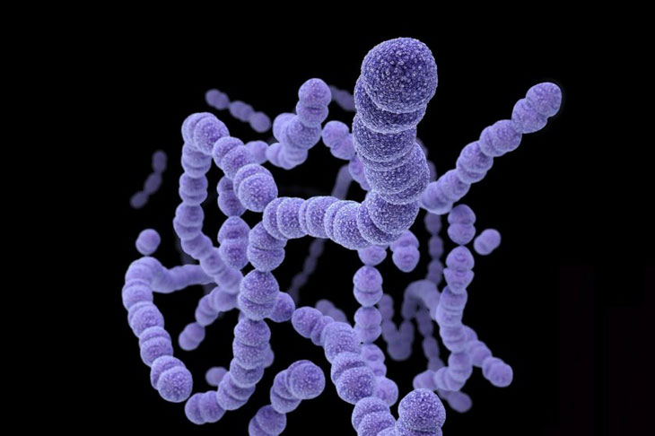 Viêm đường hô hấp trên