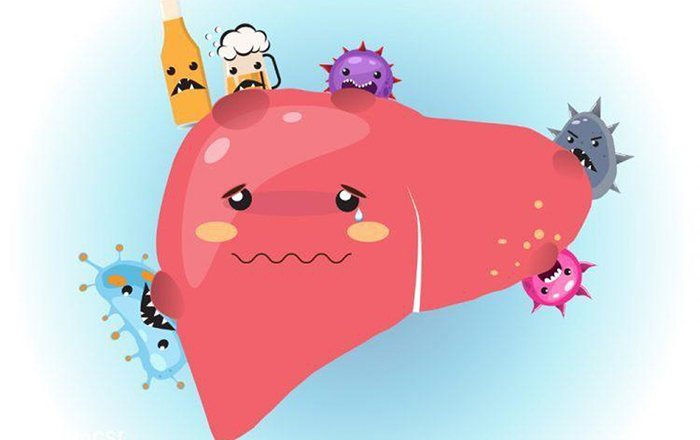 Suy giảm chức năng gan