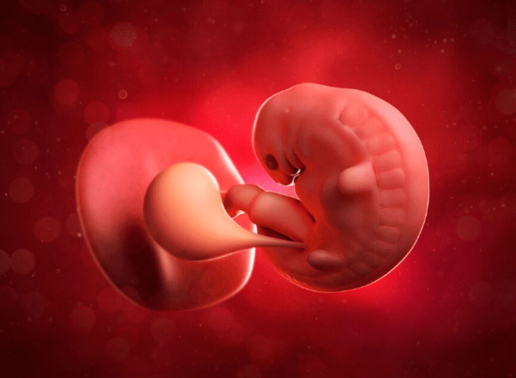 hút thai 5 tuần tuổi