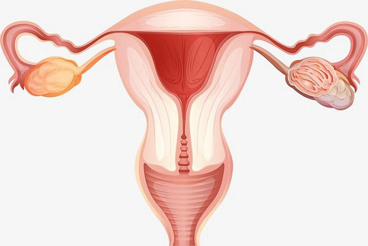 hút thai 6 tuần tuổi