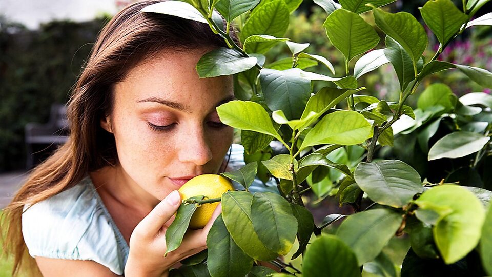 buồn nôn, buồn nôn hoa mắt chóng mặt