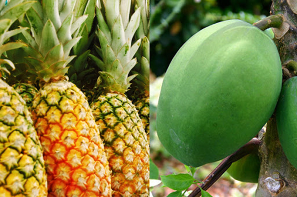 Kinh nghiệm chăm sóc bà bầu 3 tháng đầu