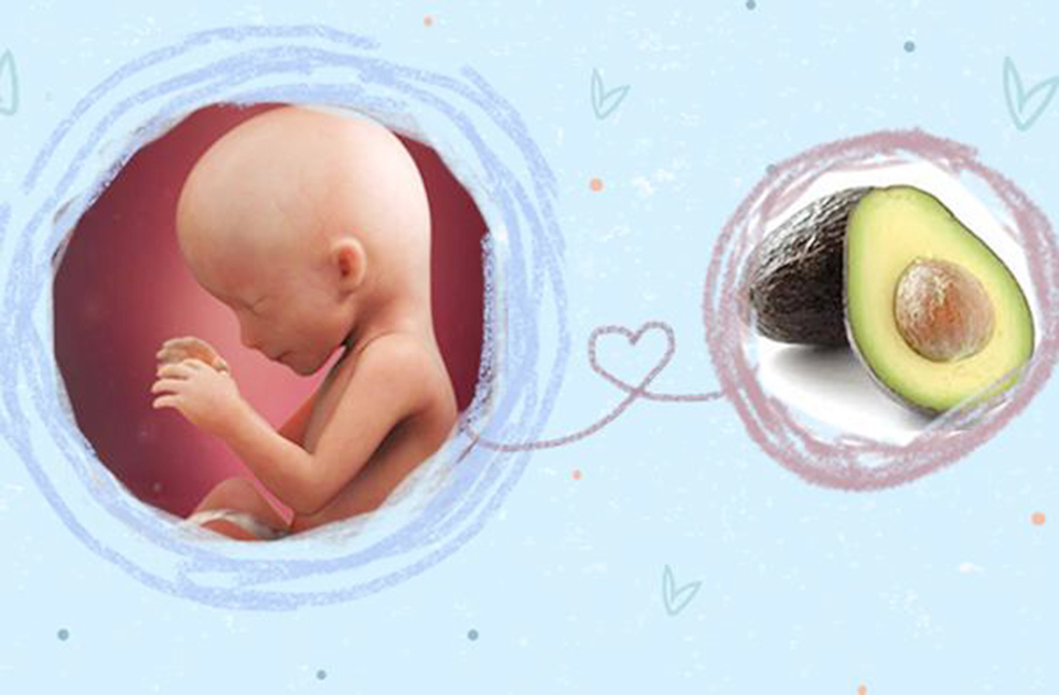 mang thai tháng thứ 4