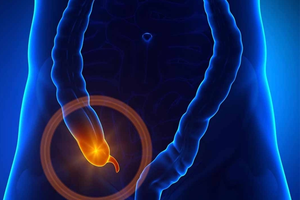 buon-non-chuong-bung