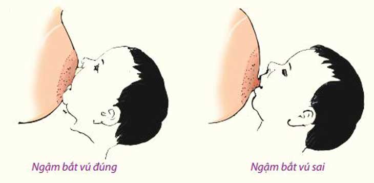 Kich-sua-bang-cach-cho-con-bu-truc-tiep