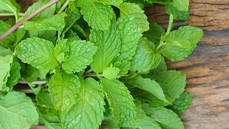 ợ hơi và xì hơi