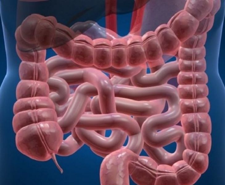 đi ngoài có mùi tanh 