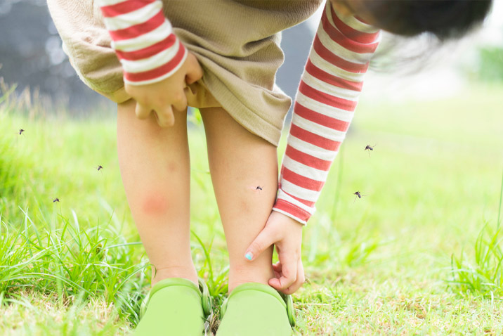 chăm sóc trẻ sốt xuất huyết