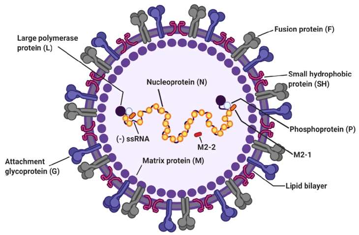 viêm phế quản co thắt ở trẻ em 