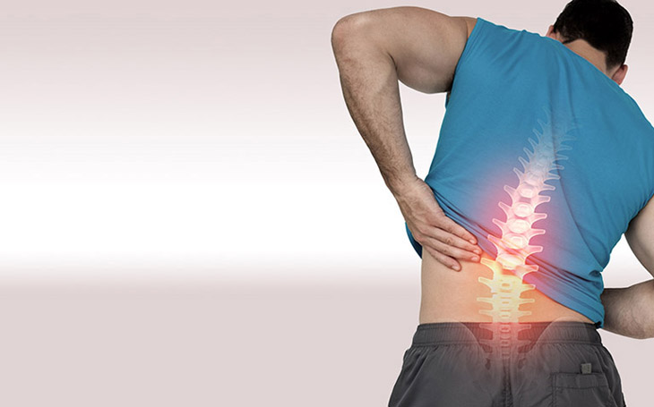 Nghiên cứu cho thấy cấu trúc đặc biệt của đĩa đệm khiến tình trạng thoát vị dễ xảy ra