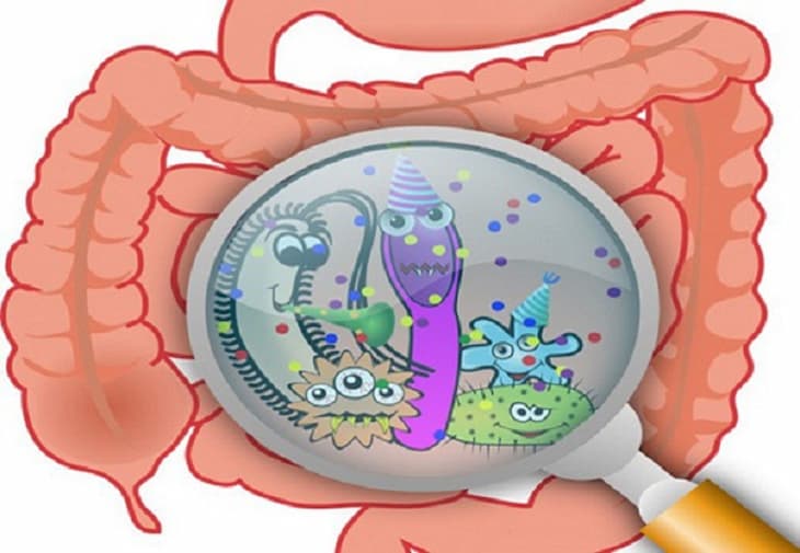 nhiem-khuan-tieu-hoa