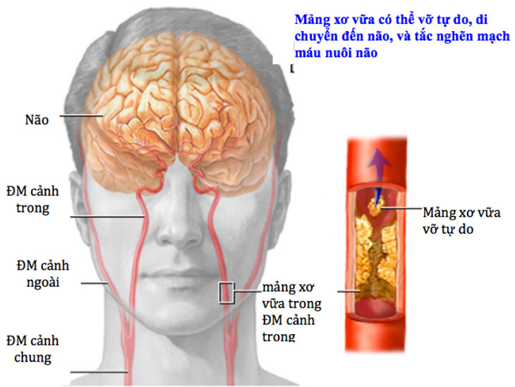 tuan hoan mau nao